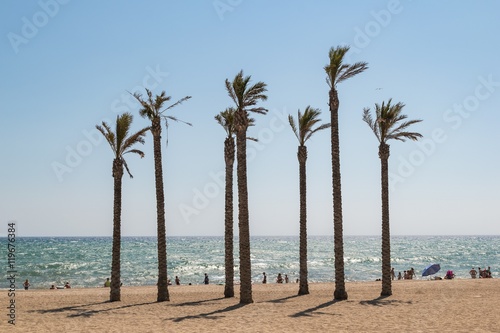 Palm trees growing on a beach in southern spain