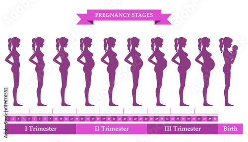 Pregnant female silhouettes