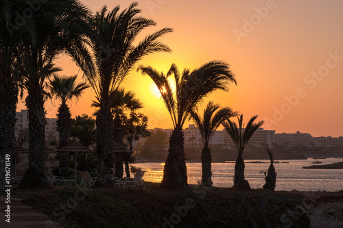 Sunset overlooking the sea and the beach with palm trees.
