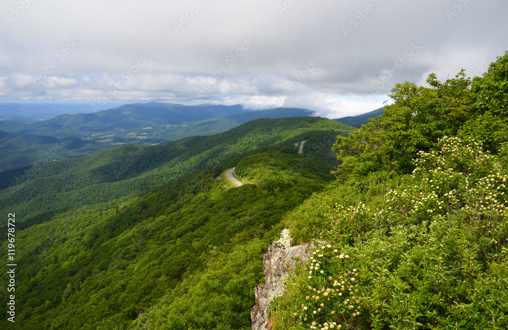 Naklejka premium Skyline Drive, Virigina (USA)