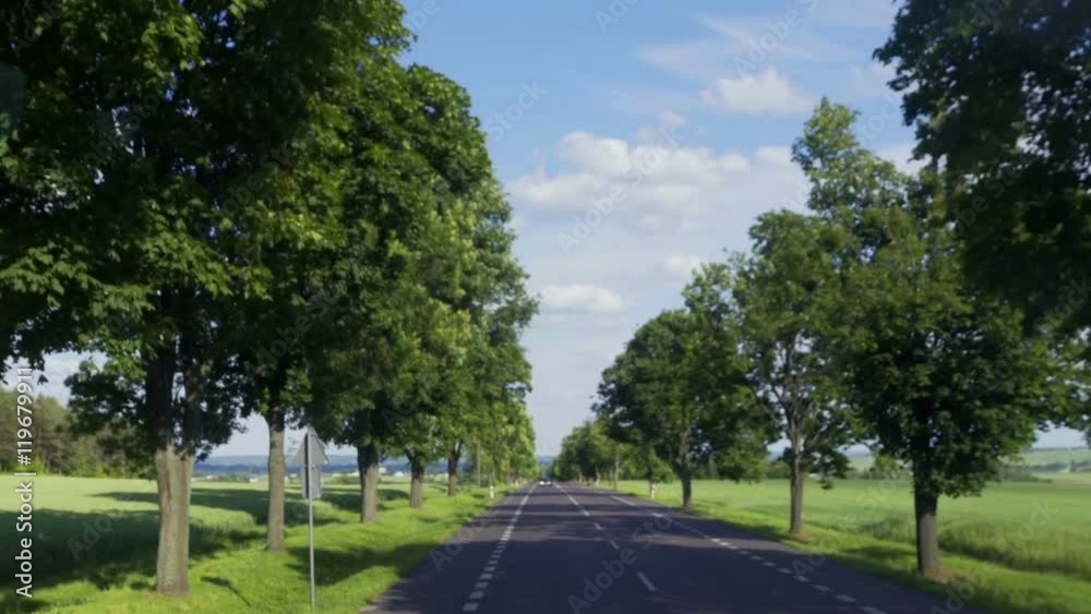 POLAND 2016: A wide straight street is leading from one city to another and a car is driving on it. The countryside around looks magnificent. It is a nice sunny day.
POLAND 2016: A wide straight street is leading from one city to another and a car is driving on it. The countryside around looks magnificent. It is a nice sunny day.