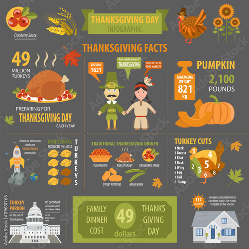 Thanksgiving day, interesting facts in infographic. Graphic temp