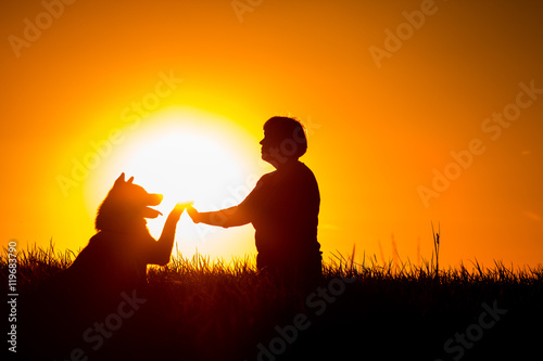 Woman sitting outside in the grass, shaking hands with her Akita