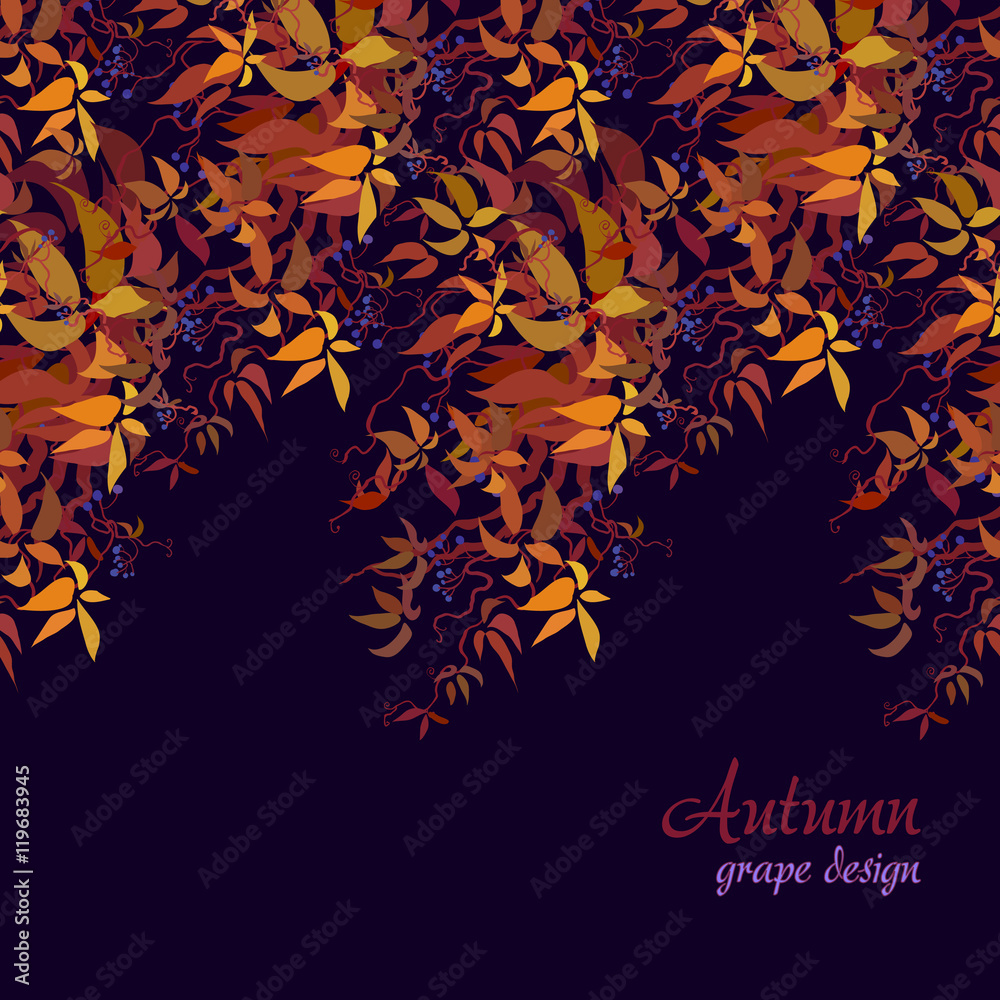 Autumn grape vine Autumn grape vine