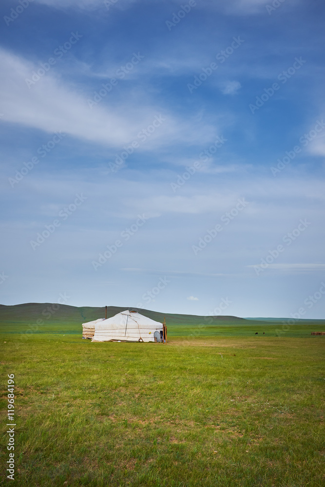 A nice typical Mongolian landscape of the yurt. Mongolian steppe
