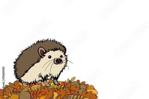 Igel im Laub