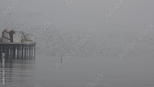 Murmuring of Starlings around Brighton Pier, England. With man on paddleboard
