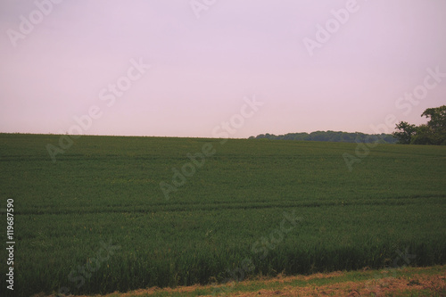 View over the English countryside in the Chilterns Vintage Retro