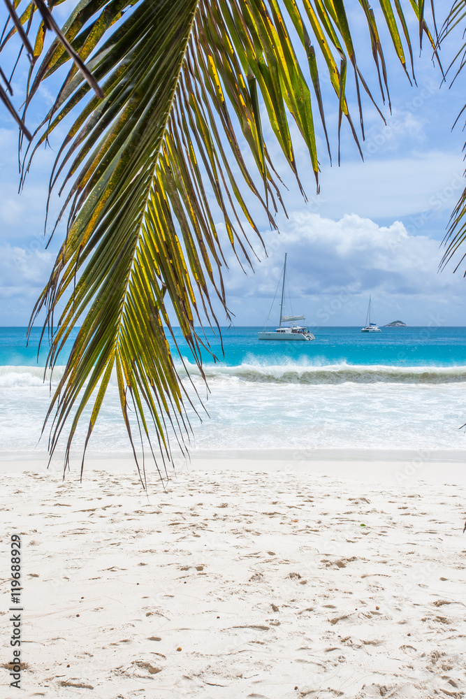Fototapeta premium plage d'anse Lazio, Praslin, Seychelles