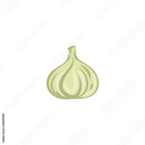 Vector Vegetables - Garlic