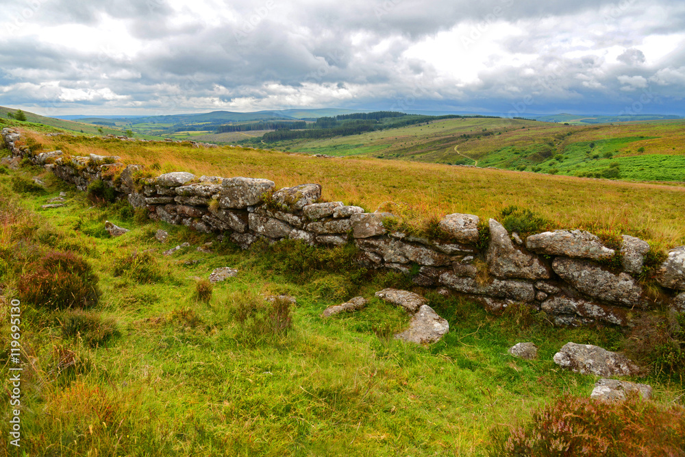 Heidelandschaft mit Mauer / Dartmoor, Südengland