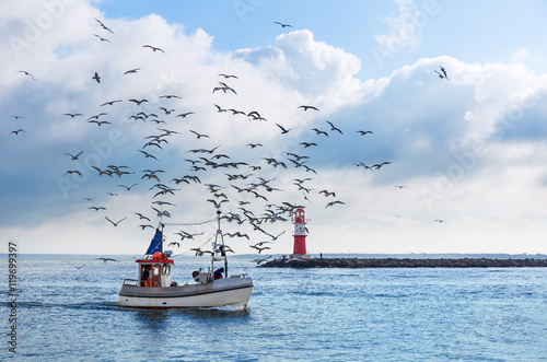 Fishing boat with seagulls in Warnemuende near Rostock, Germany