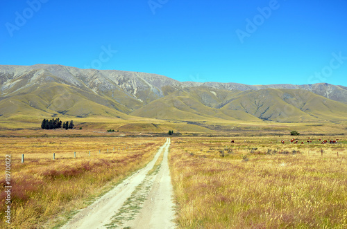 Dirt road leading through meadows to mountains in the distance. Summer in the New Zealand countryside.