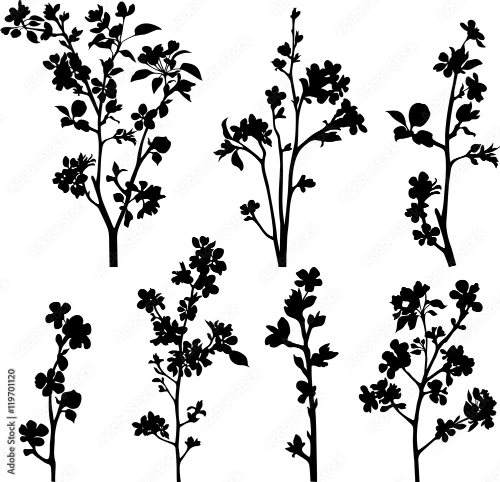 Obraz premium Apple blossom