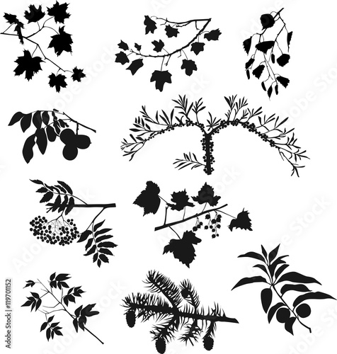 Big set of branches