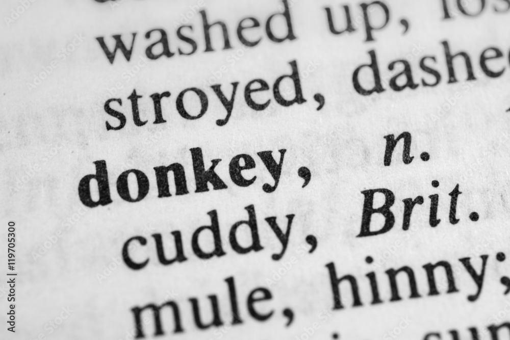 Donkey