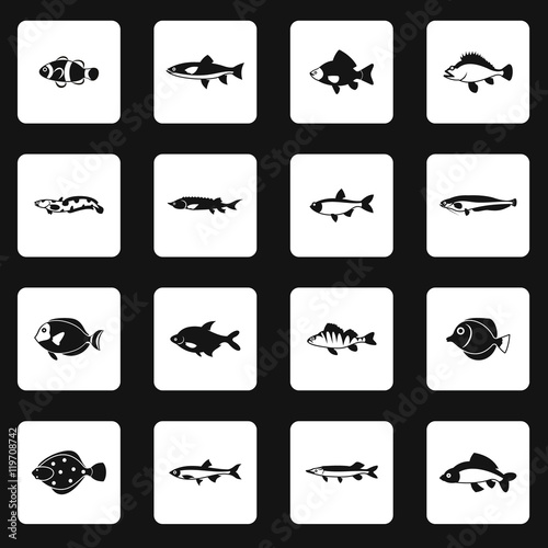 Fish icons set in simple style. Marine fish set collection vector illustration