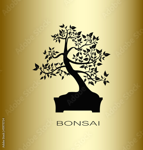 Black silhouette of bonsai tree on a gold background