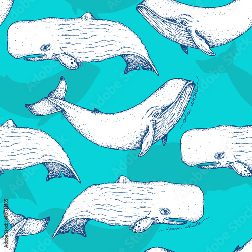 Big blue and sperm whales - vector hand drawn seamless pattern design. Huge swimming aquatic mammal ink sketch