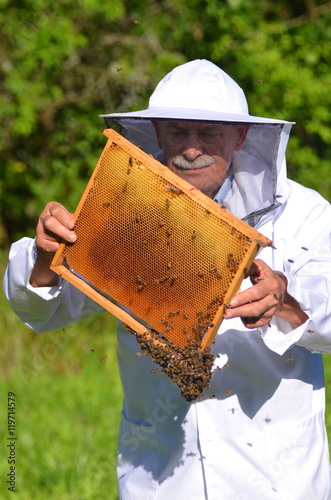 Pszczelarz podczas inspekcji w pasiece
