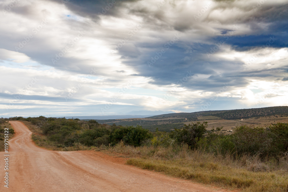 The Road is Long in Addo