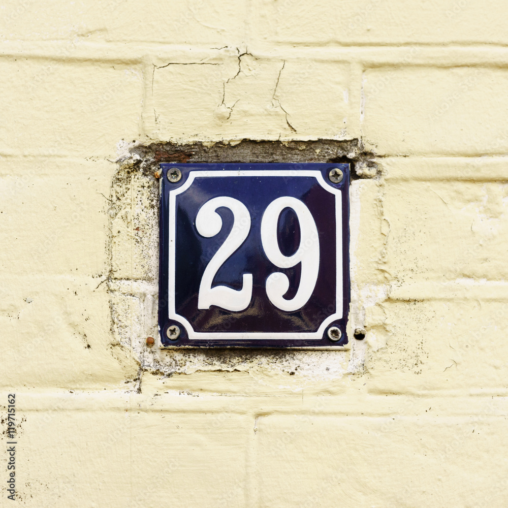 Number 29 Number 29
