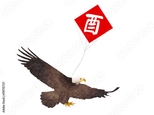 酉　鷹　年賀状　アイコン