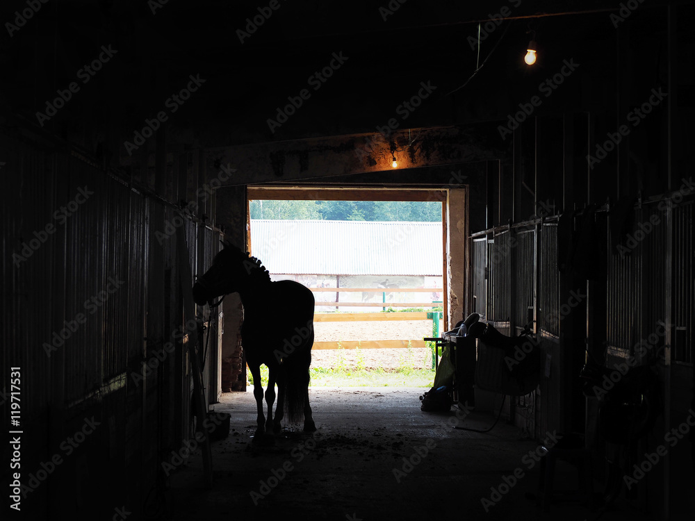 twilight horses stables