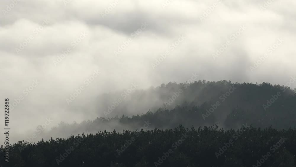 dawn fog timelapse movement in the mountains high altitude forest, background dawn fog timelapse movement in the mountains high altitude forest, background