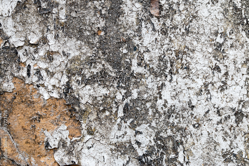 white concrete wall texture white concrete wall texture