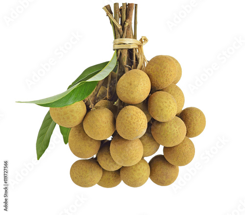 Fresh longan on white background photo