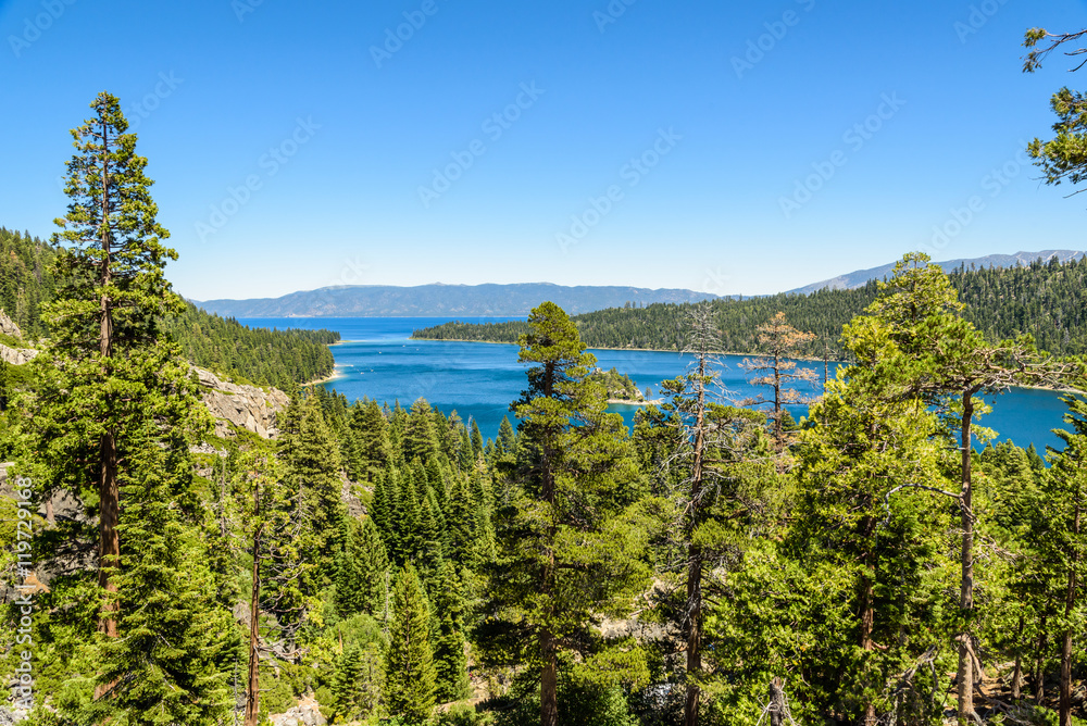 Fototapeta premium Bosque y Lago