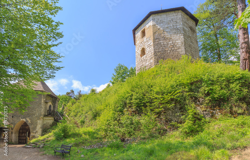 Wallpaper Mural Remains of royal castle in Ojcow near Krakow. Ojcow National Park in Poland Torontodigital.ca