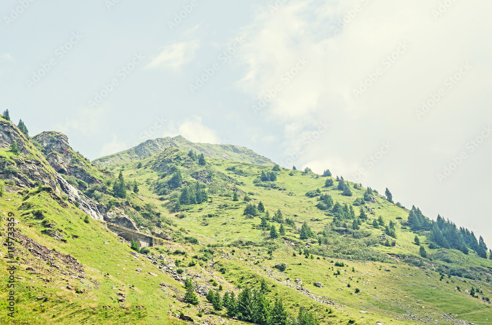 Carpathian mountains, Fagaras hills with green forest pines and rocks