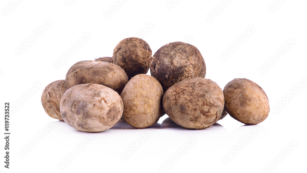 Mushroom - (Astraeus hygrometricus) isolate on white Mushroom - (Astraeus hygrometricus) isolate on white