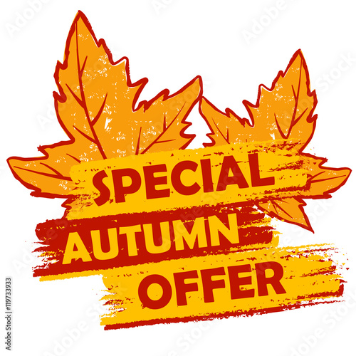 special autumn offer with leaves, orange and brown drawn label,