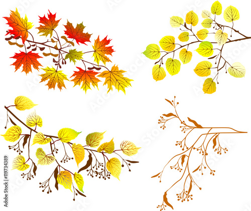  Fall branches set