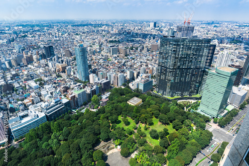 新宿中央公園と東京の町並み photo