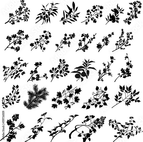 All branches collection