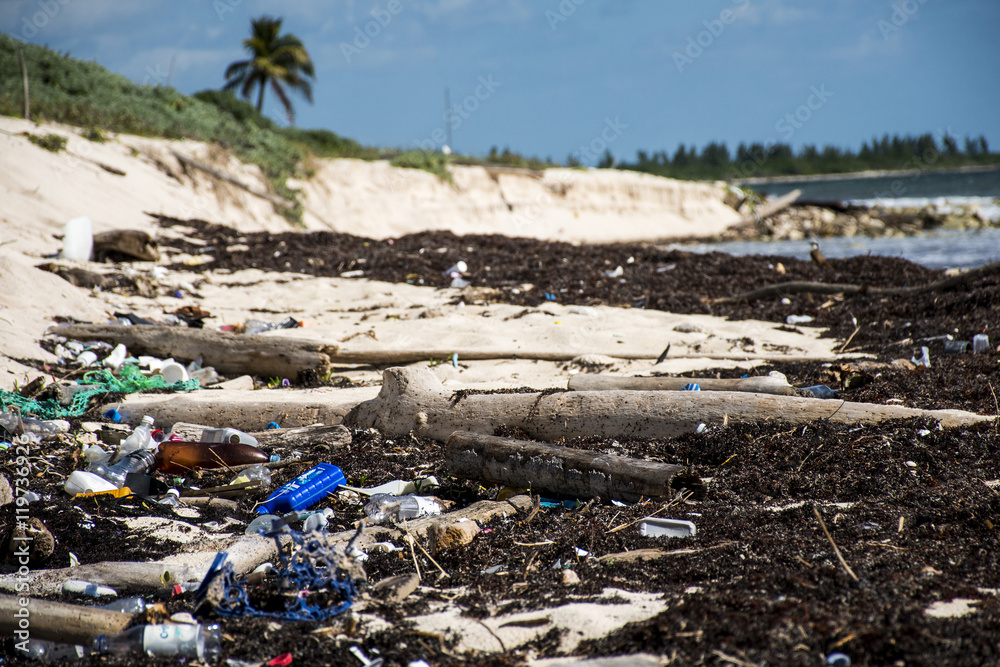 Mexico Coastline Pollution plastic Probem