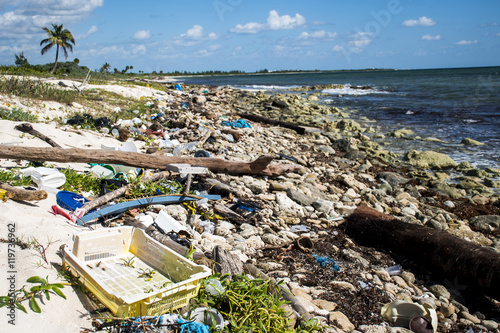 Mexico Coastline Pollution plastic Probem photo