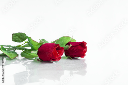 Red plastic rose on white background