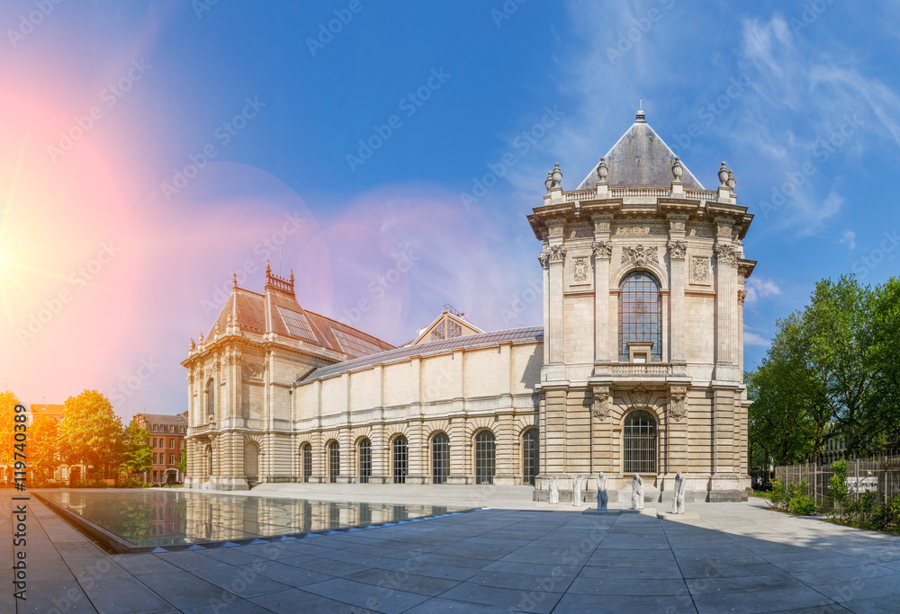 Obraz premium Museum of Fine Arts in Lille Nord-Pas-de-Calais France