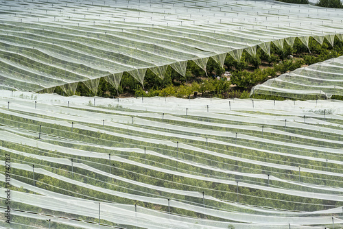 Canvas Print Plastic netting cover to protect agricultural land