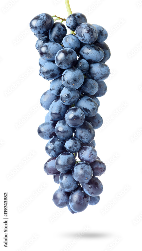 Bunch of grapes with water drops, isolated on white background Bunch of grapes with water drops, isolated on white background