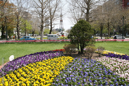 Spring of Odori Park