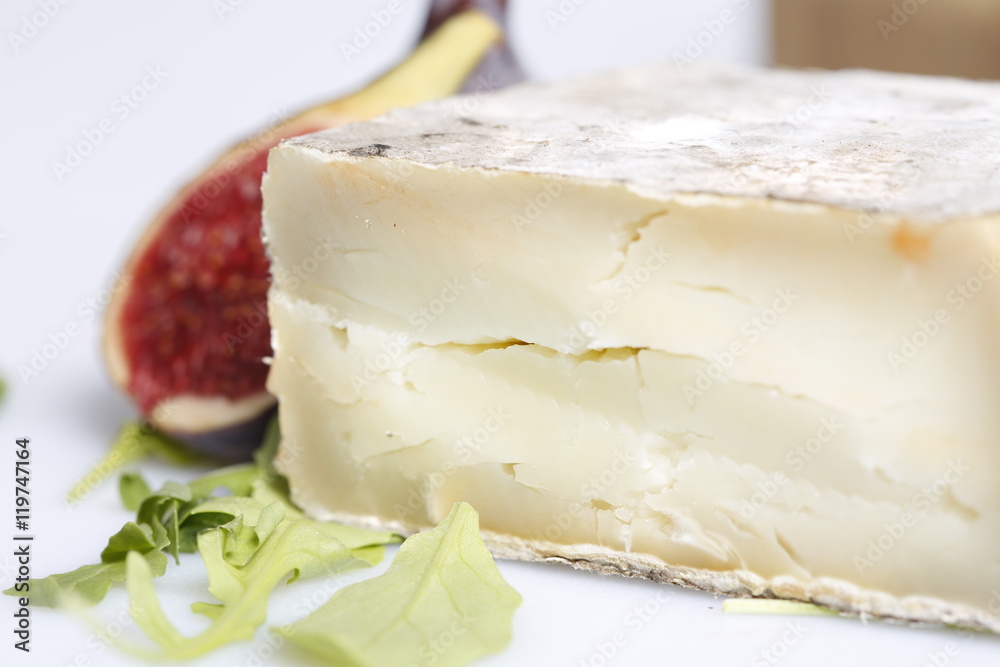 Tasty cheese close up with fig Tasty cheese close up with fig