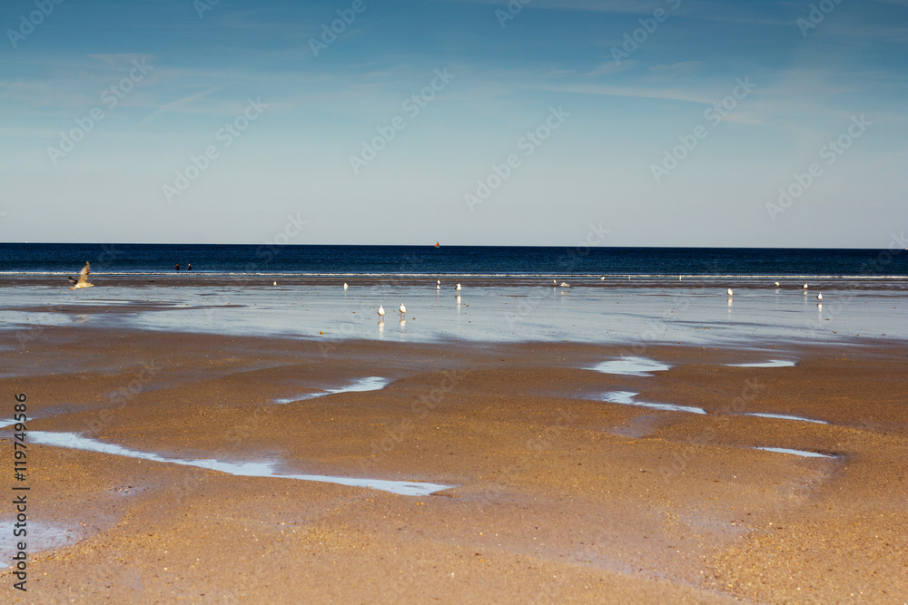 Obraz premium View over the beach at Polzeath in Cornwall