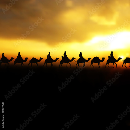 Camel caravan on beautiful Sunrise