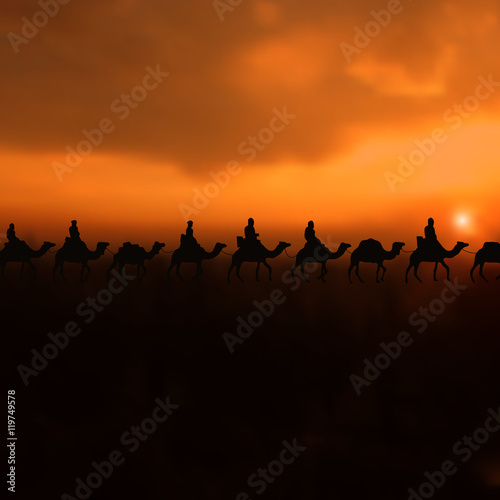 Camel caravan on beautiful Sunset